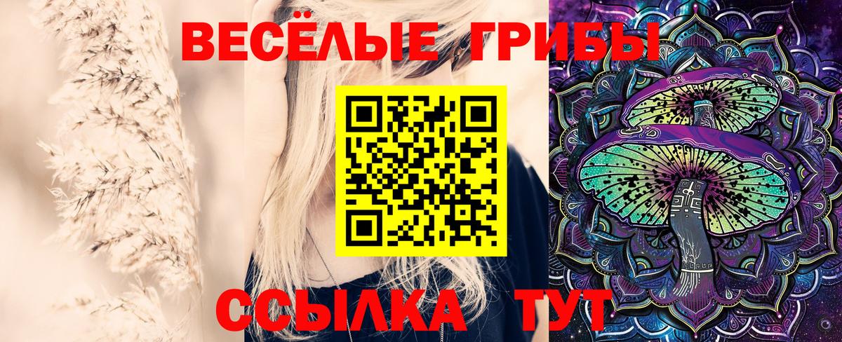 Галлюциногенные грибы MAGIC MUSHROOMS  Вход с VPN  Псилоцибиновые грибы мухоморы  Великий Новгород 